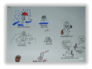 FischiMon Classics Teil 13