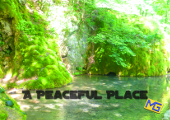 A Peaceful Place