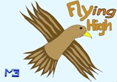 Flying High